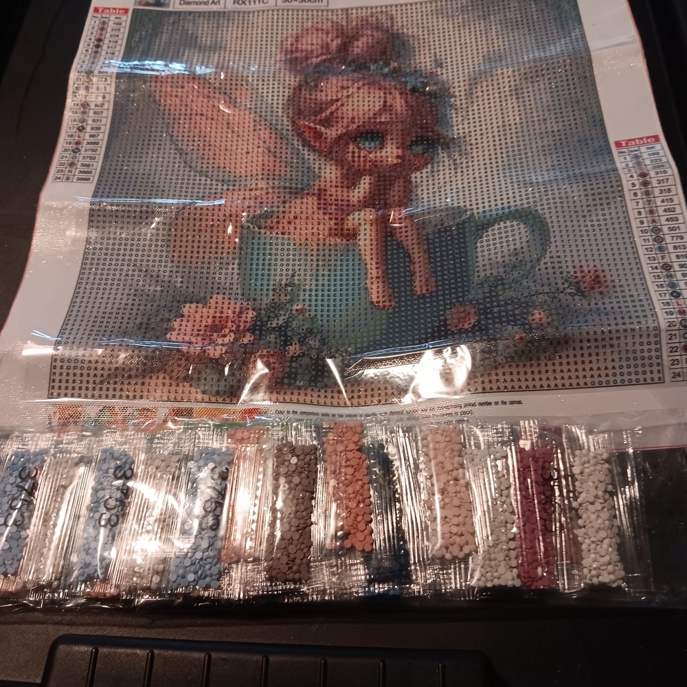 Fairy Diamond Painting Kit 30x30